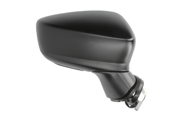 Išorinis veidrodėlis BLIC 5402-14-2001706P