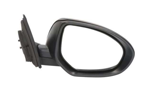 Išorinis veidrodėlis BLIC 5402-14-2001718P