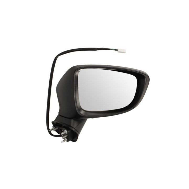 Išorinis veidrodėlis BLIC 5402-14-2001726P