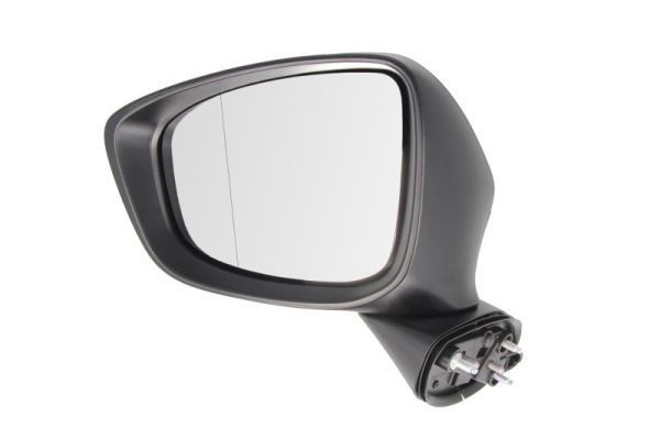 Išorinis veidrodėlis BLIC 5402-14-2001733P