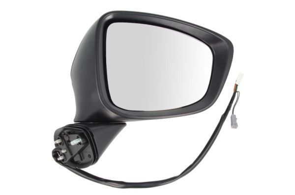 Išorinis veidrodėlis BLIC 5402-14-2001738P