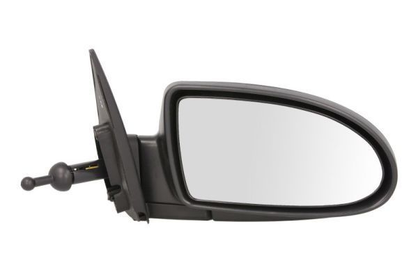 Išorinis veidrodėlis BLIC 5402-20-2001356P