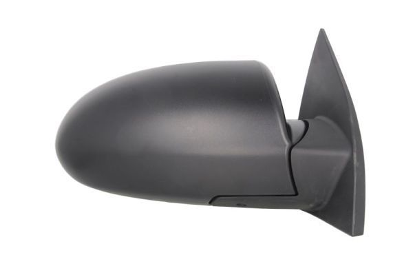 Išorinis veidrodėlis BLIC 5402-20-2001358P