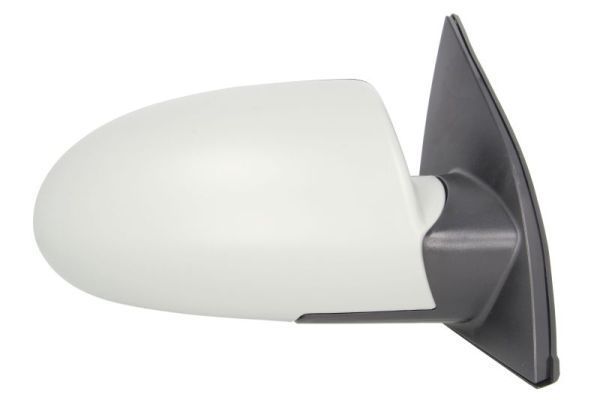 Išorinis veidrodėlis BLIC 5402-20-2001360P
