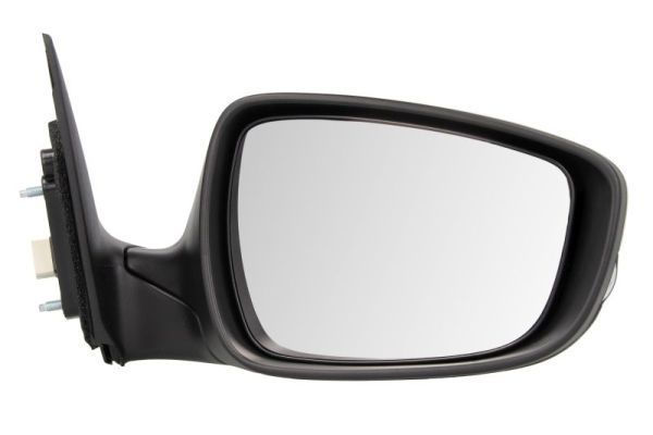 Išorinis veidrodėlis BLIC 5402-20-2001374P