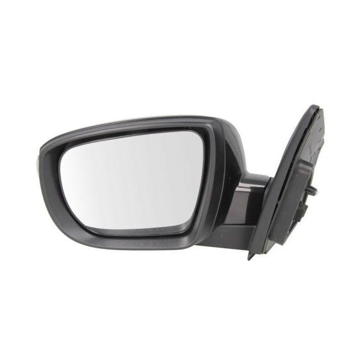 Išorinis veidrodėlis BLIC 5402-20-2001421P