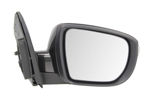 Išorinis veidrodėlis BLIC 5402-20-2001422P