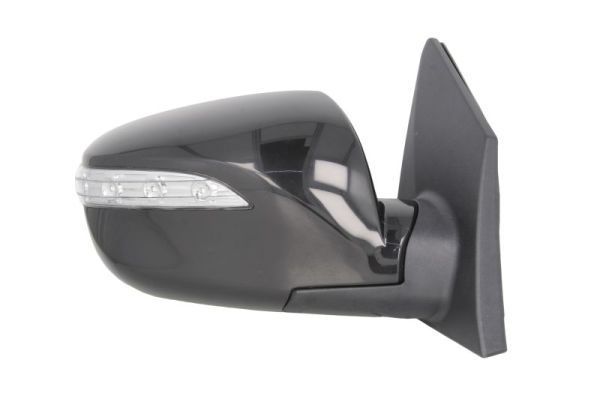 Išorinis veidrodėlis BLIC 5402-20-2001424P