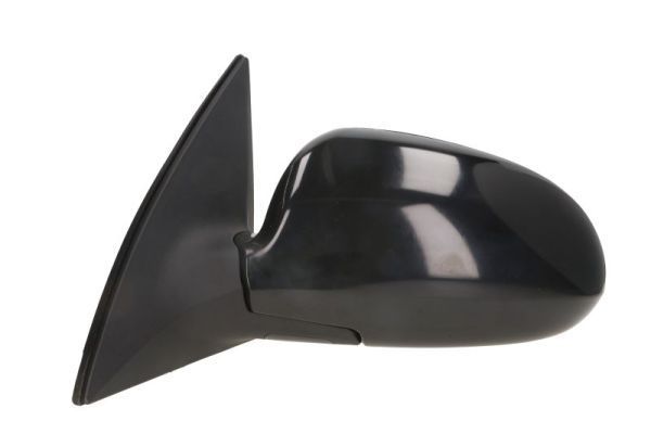 Išorinis veidrodėlis BLIC 5402-20-2002841P