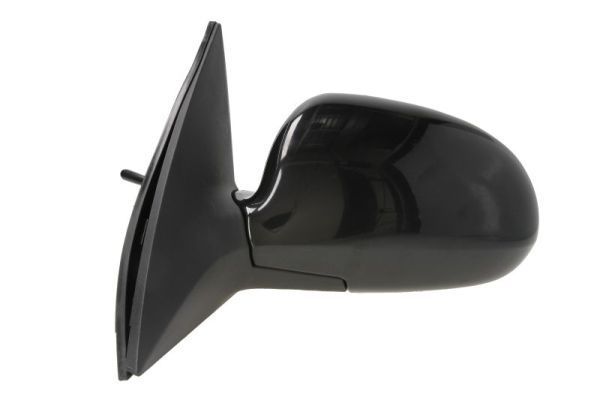 Išorinis veidrodėlis BLIC 5402-20-2002843P