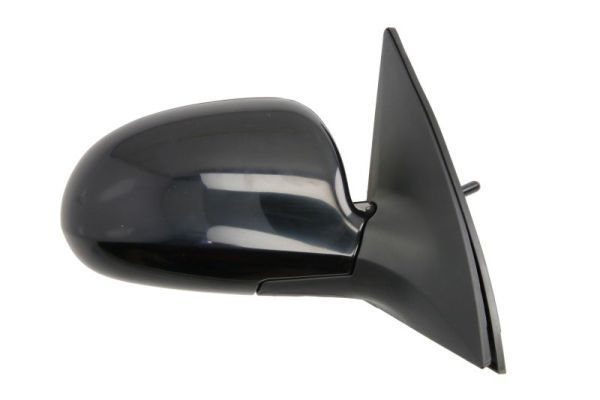 Išorinis veidrodėlis BLIC 5402-20-2002844P