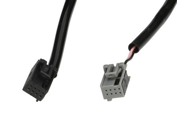 Išorinis veidrodėlis, vairuotojo kabina BLIC 5402-21-2002795P