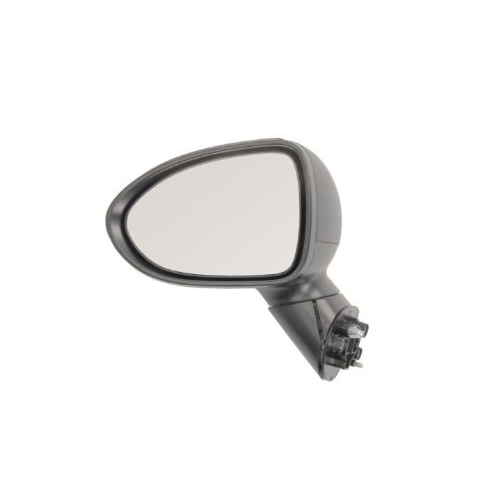 Išorinis veidrodėlis BLIC 5402-53-2001551P