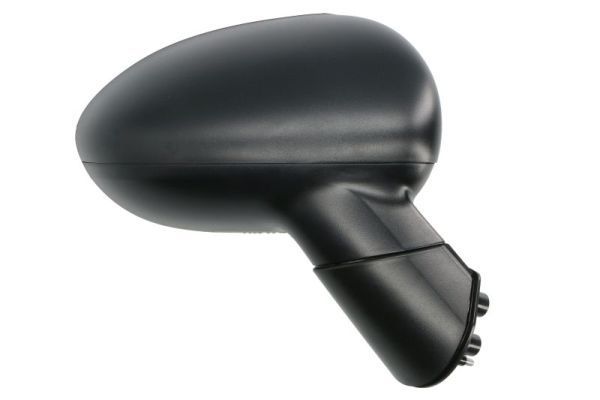 Išorinis veidrodėlis BLIC 5402-53-2001552P