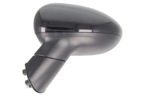 Išorinis veidrodėlis BLIC 5402-53-2001553P