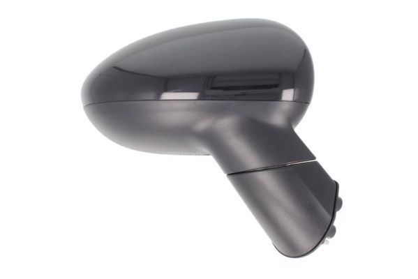 Išorinis veidrodėlis BLIC 5402-53-2001554P