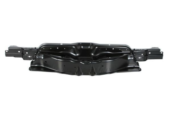 Priekinis variklio gaubtas BLIC 6502-08-2098200P