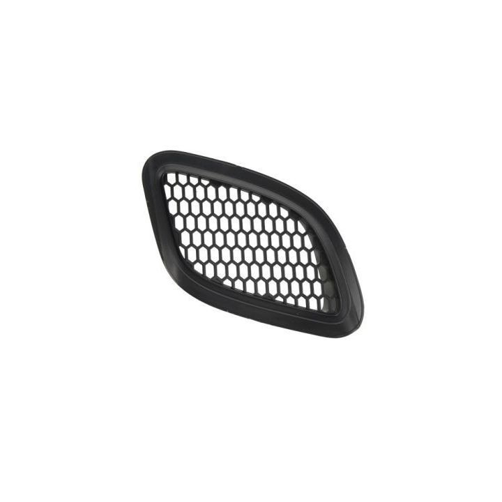 Ventiliacijos grotelės, buferis BLIC 6502-07-2013911AQ