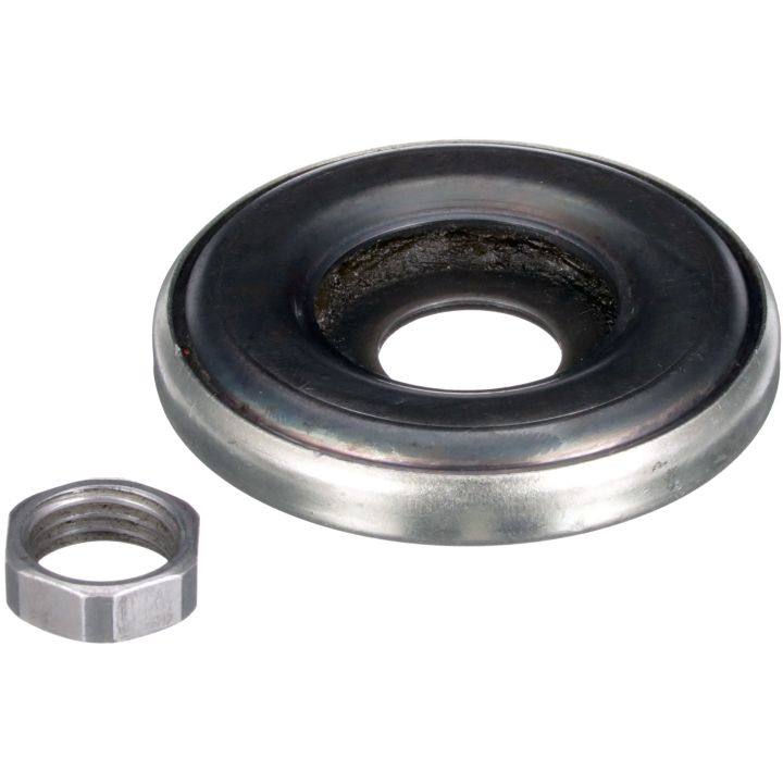 Frikcinis guolis, pakabos statramsčio atramos montavimas RAPRO R52194