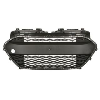 Ventiliacijos grotelės, buferis BLIC 6502-07-3121990P