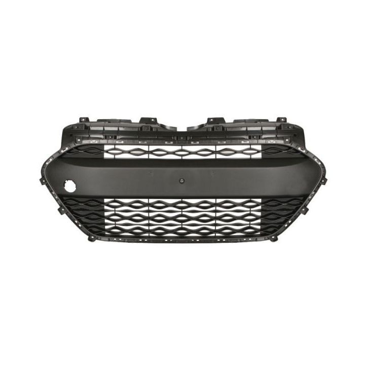 Ventiliacijos grotelės, buferis BLIC 6502-07-3121990P