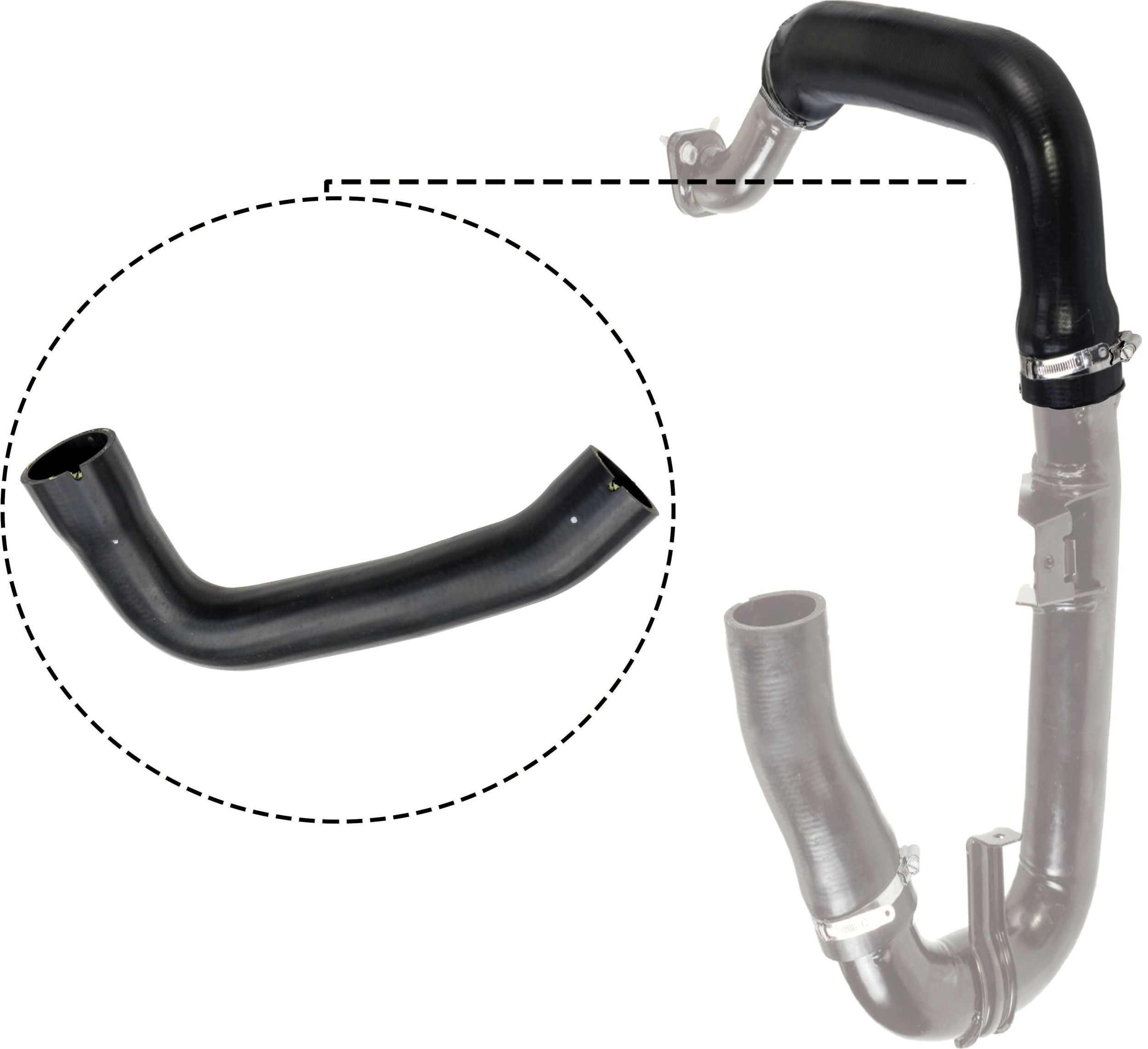 Kompresoriaus padavimo žarna RAPRO R11555