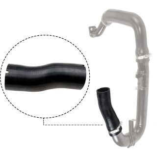 Kompresoriaus padavimo žarna RAPRO R11590