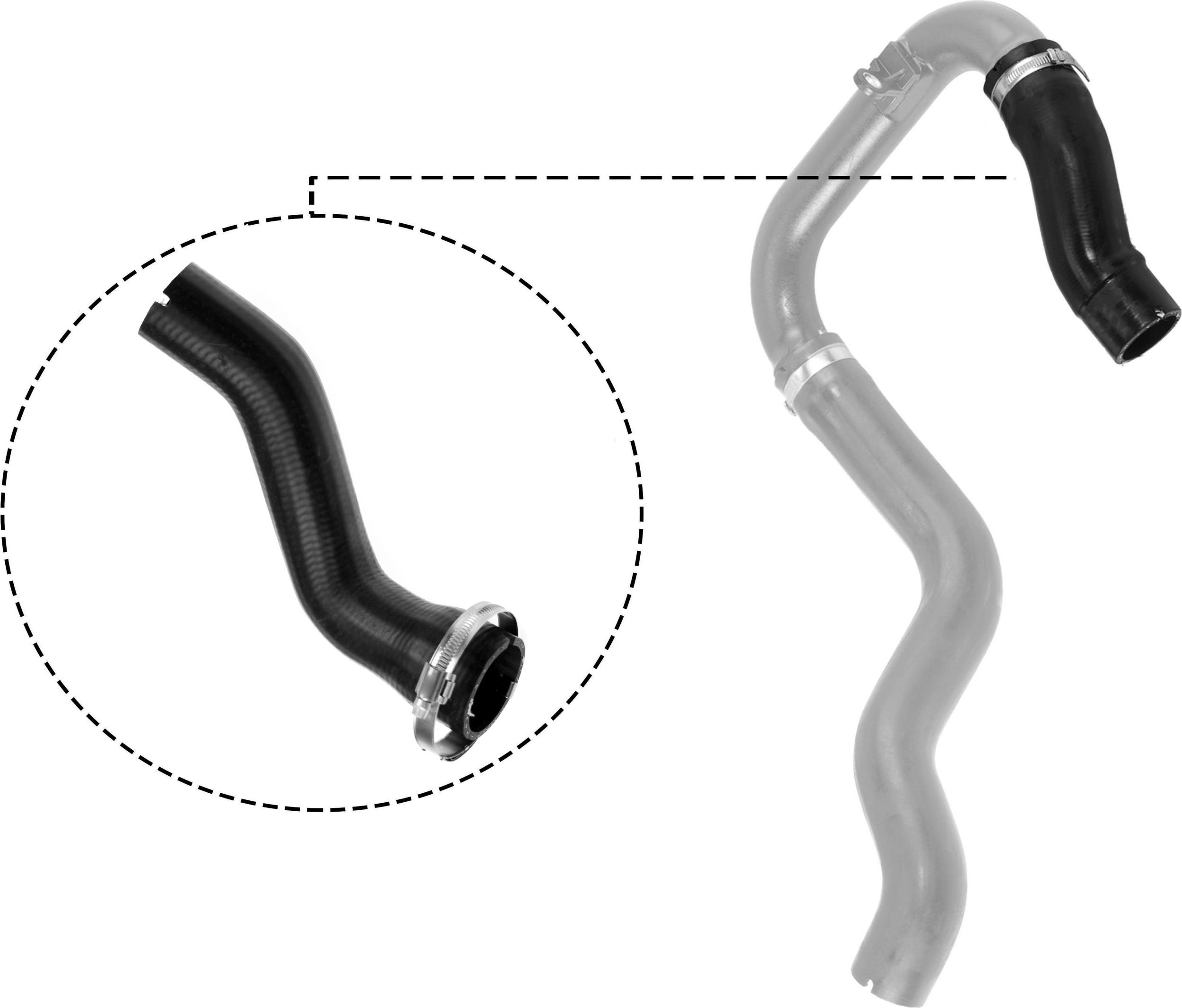 Kompresoriaus padavimo žarna RAPRO R11592