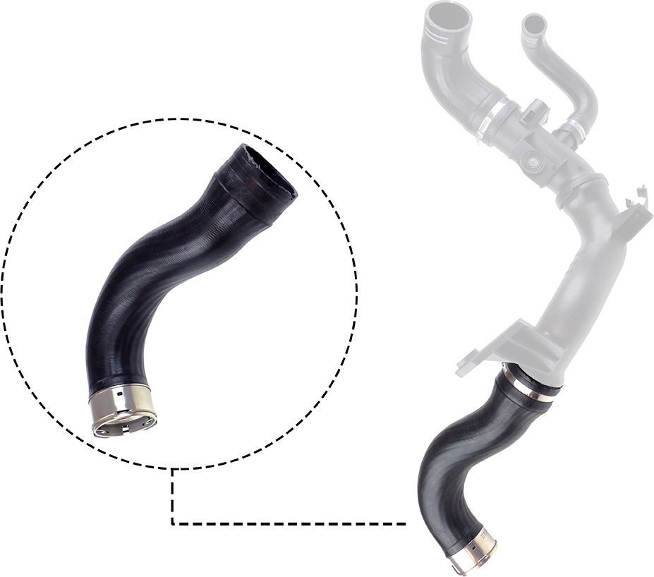 Kompresoriaus padavimo žarna RAPRO R11764