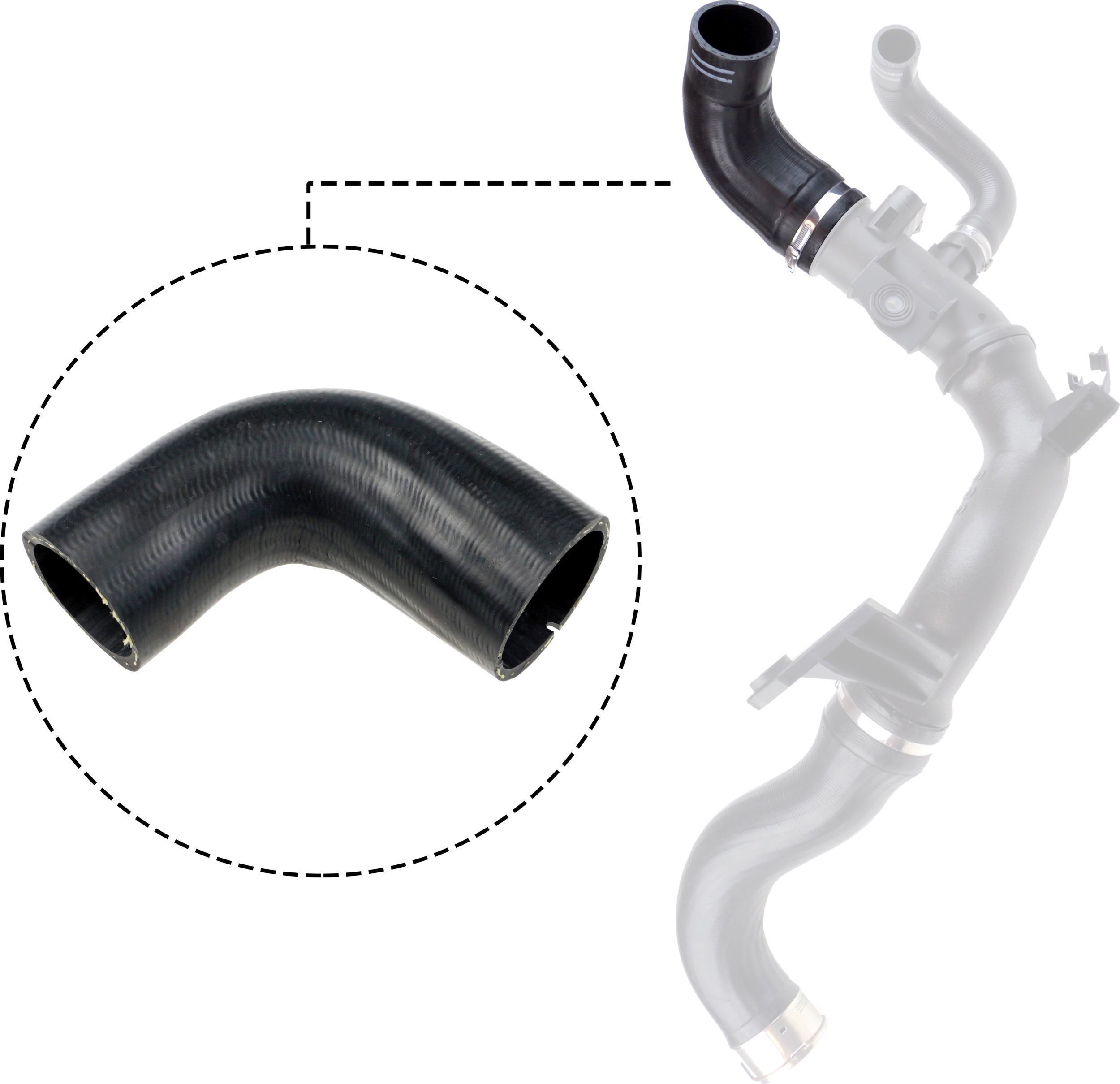 Kompresoriaus padavimo žarna RAPRO R11765