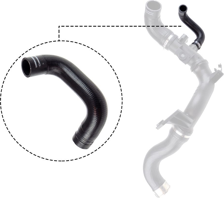 Kompresoriaus padavimo žarna RAPRO R11766