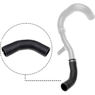 Kompresoriaus padavimo žarna RAPRO R11811