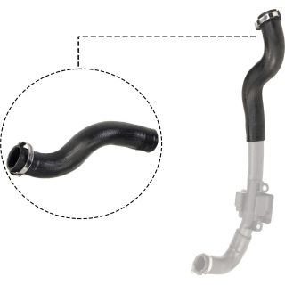 Kompresoriaus padavimo žarna RAPRO R12501