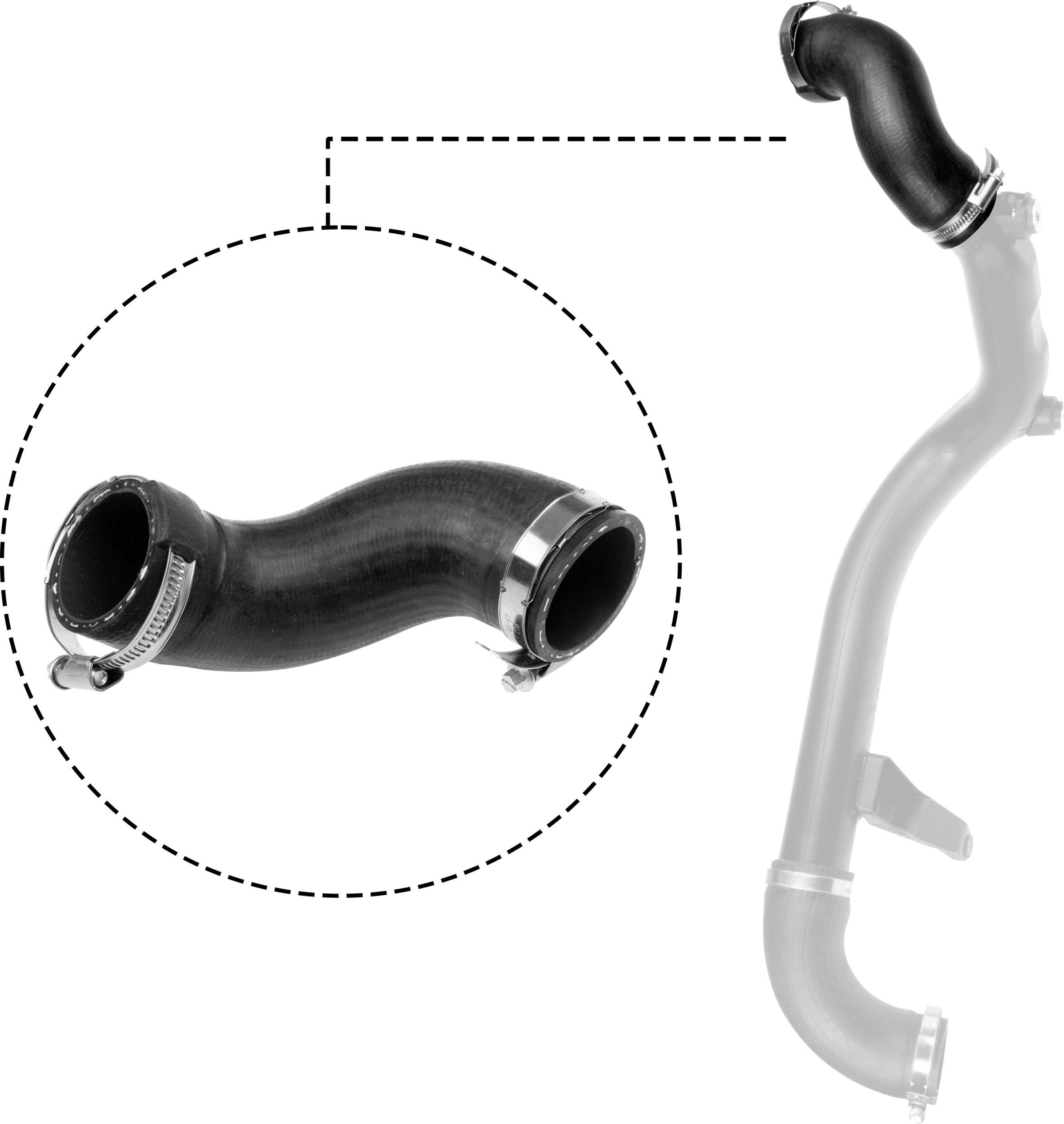 Kompresoriaus padavimo žarna RAPRO R19031