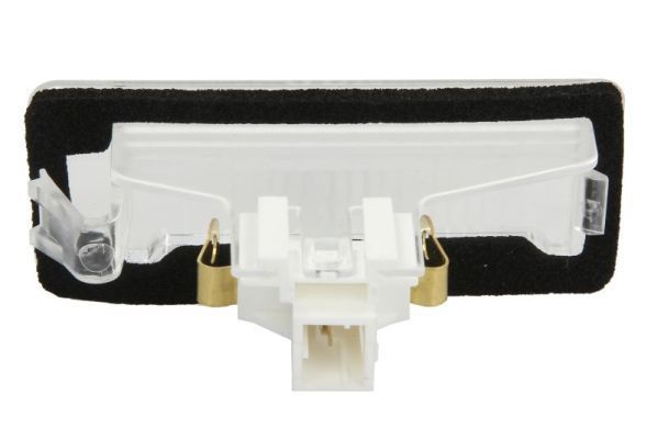 Valstybinio numerio apšvietimas BLIC 5402-07-0316100P