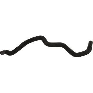 šildytuvo žarnelė RAPRO R11298