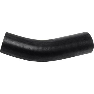 šildytuvo žarnelė RAPRO R12250