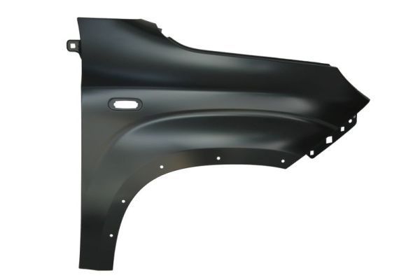 Sparnas BLIC 6504-04-2009314P