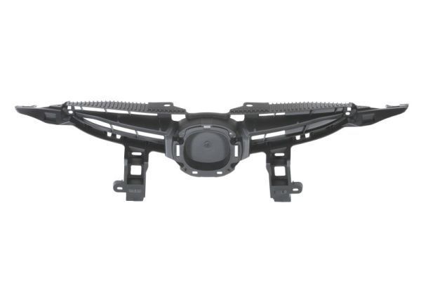 Radiatorius grotelės BLIC 6502-07-3421991P