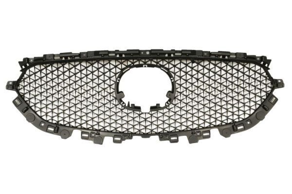 Radiatorius grotelės BLIC 6502-07-3496991P