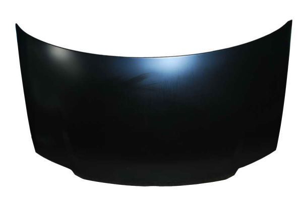 Gaubtas BLIC 6803-00-2008280P