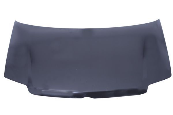 Gaubtas BLIC 6803-00-2008280Q