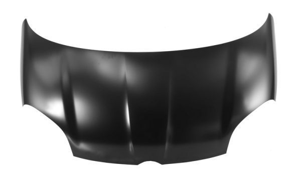 Gaubtas BLIC 6803-00-2009280P