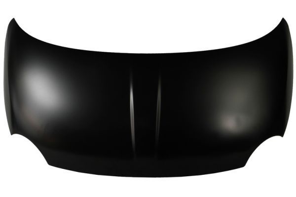 Gaubtas BLIC 6803-00-2013280P