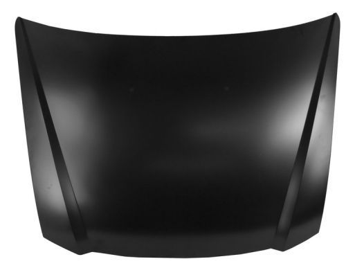 Gaubtas BLIC 6803-00-2027280P