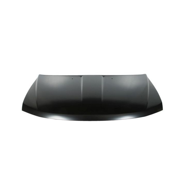 Gaubtas BLIC 6803-00-2050280P