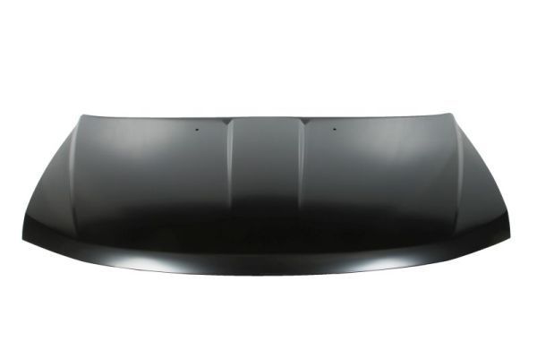 Gaubtas BLIC 6803-00-2050280P