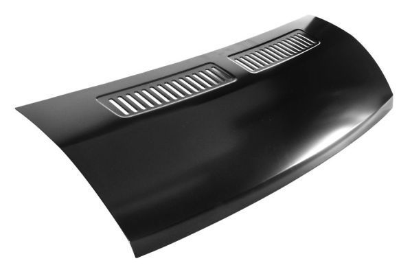 Gaubtas BLIC 6803-00-2097280P