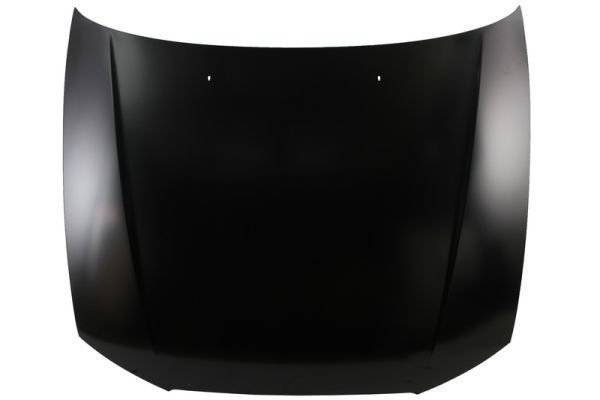 Gaubtas BLIC 6803-00-3155280P