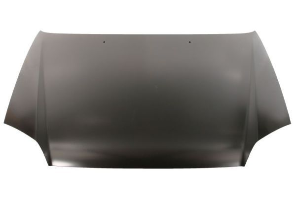 Gaubtas BLIC 6803-00-3155281P